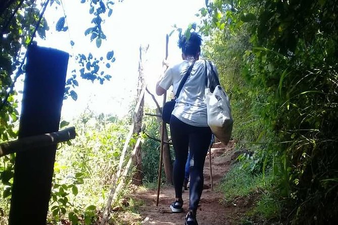 1 Day Trip Waterfalls Marangu Village - Customer Reviews