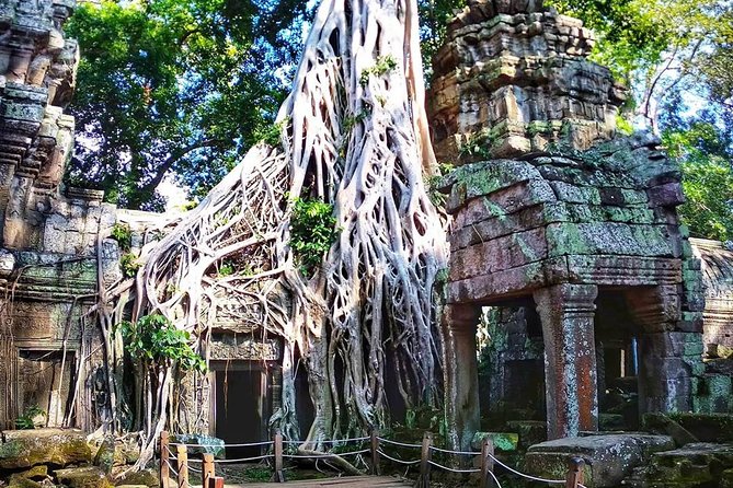 1-Day Uncover the Endless Treasure of Angkor Tour With Sunrise. - Exploring Angkor Thom