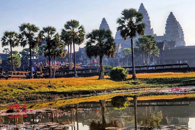 1-Day Uncover the Endless Treasure of Angkor Tour With Sunrise. - Temples of Ta Prohm and Bayon