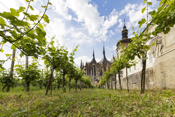1 Day UNESCO Private Wine Experience in Kutna Hora - Tour Details