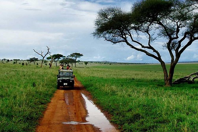 1 Day: Unforgettable Tarangire - The Sum Up