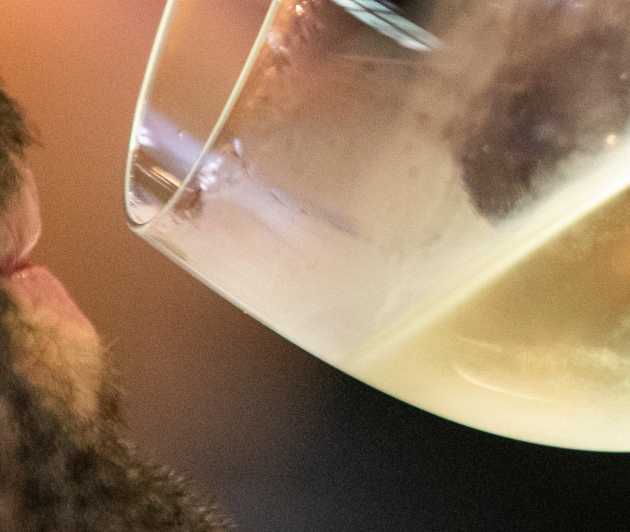 1 Day Vinho Verde - Wine Experience, Braga - Itinerary Details