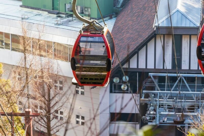 1-Day Walking Tour around Kobe : Mountains, Sea and Sake - Who Is This Tour Best For?