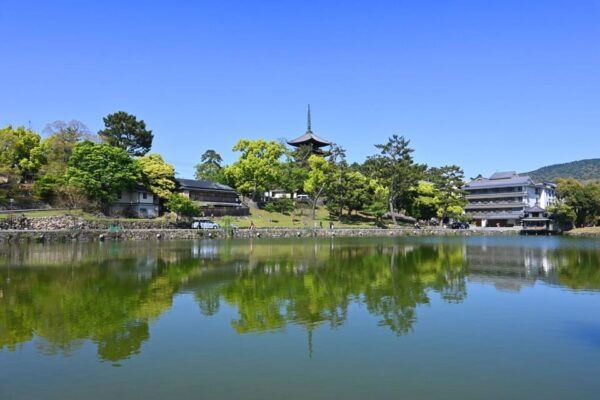 1-Day Walking Tour in Nara: Palace, Deer and Inkstick - Tips for Your Visit