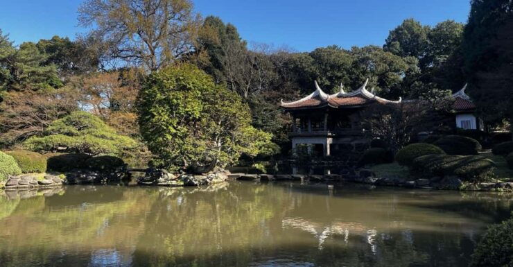 1 Day Walking Tour in Shinjuku and Shibuya: The Best of Both - Good To Know