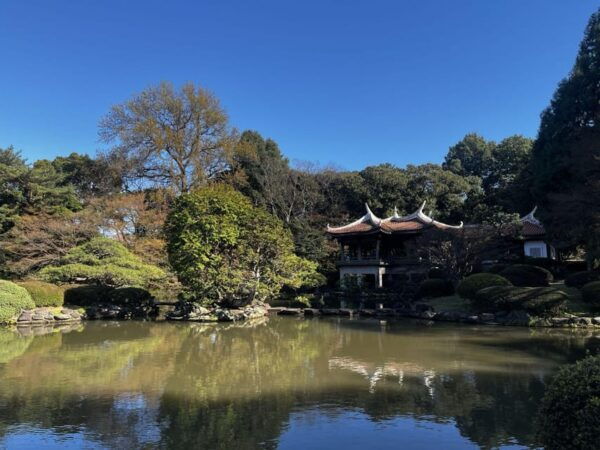 1 Day Walking Tour in Shinjuku and Shibuya: The Best of Both - Shibuya City Highlights