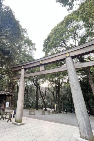 1 Day Walking Tour in Shinjuku and Shibuya: The Best of Both - Frequently Asked Questions