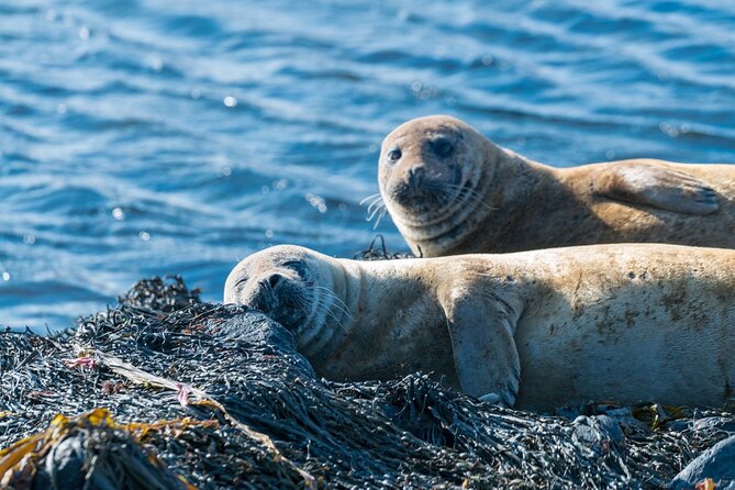 1 Day Western Iceland Discovery - Common Questions