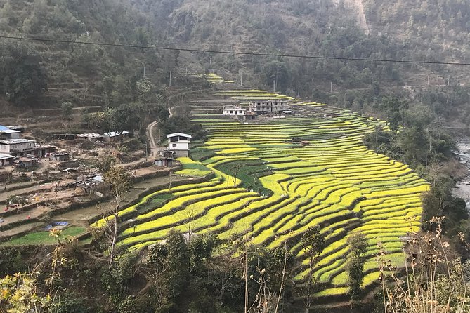 1-Day Whitewater Rafting on Bhotekoshi River - Inclusions and Services