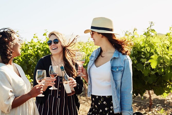 1 Day Winelands Explore of Stellenbosch Franschhoek Paarl Regions - Tour Details and Inclusions