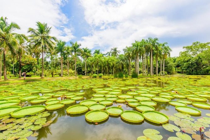 1 Day Xishuangbanna City Tour With Tropical Botanical Garden - Good To Know