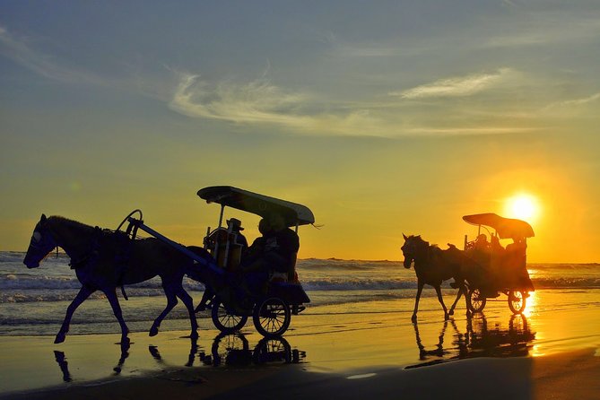 1-Day Yogyakarta City Tour Prangtritis Beach - PRIVATE Tour With GUIDE - Pricing Details