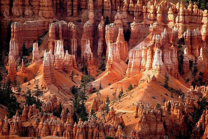 1-Day Zion & Bryce Canyon National Park Bus Tour - Cancellation Policy