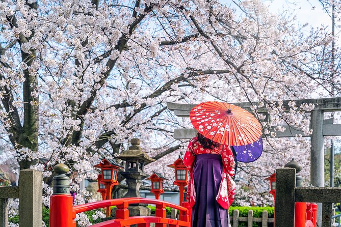 1-Full Day Private Experience of Culture and History of Kyoto for 1 Day Visitors - Common Questions