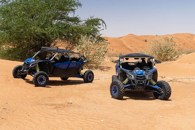 1 Hour 4-Seater Can-A X3 Turbo Buggy Family Tour in Dubai - What to Expect During the Tour