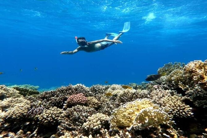 1-Hour Adventure Banana, Quatro and Butterfly in Sharm El-Sheikh - Group Size and Logistics