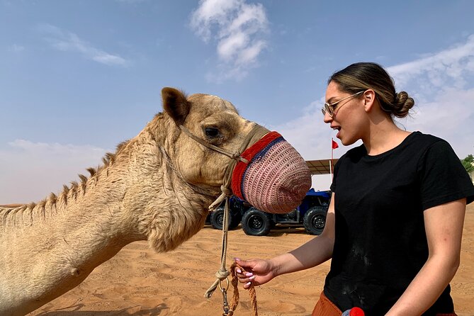 1 Hour Adventurous Quad Bike/ATV Ride, Sandboard & Camel Ride - The Sum Up