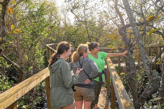 1-Hour Air Boat Ride and Nature Walk With Naturalist in Everglades National Park - Reviews and Testimonials