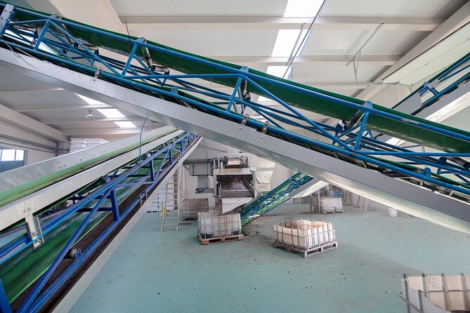 1 Hour and 30 Minutes Visit to the Oil Mill and Tasting in La Rioja - Booking and Travel Information