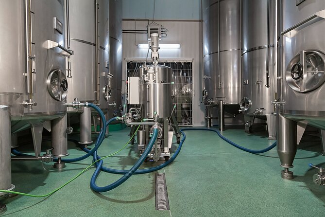 1 Hour and 30 Minutes Visit to the Oil Mill and Tasting in La Rioja - Pricing and Terms