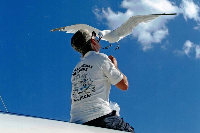 1-Hour Boat Trip Around the Port of Mahón - Accessibility and Additional Information