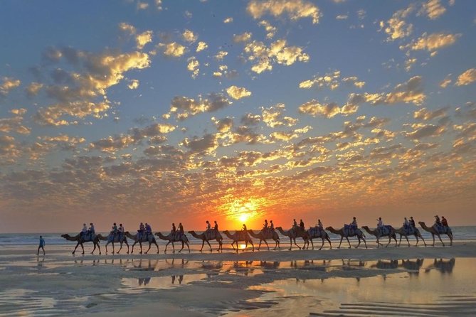 1 Hour Broome Sunset Camel Tour - Overview and Experience