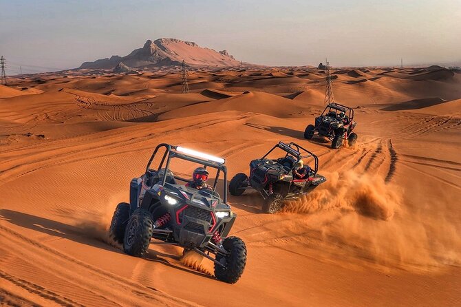 1-Hour Buggy Ride in Dubai With Pick up and Drop off - What To Expect During the Ride
