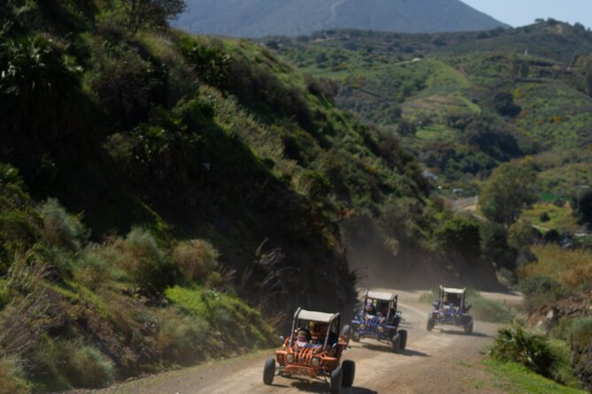 1 Hour Buggy Safari Experience in the Mountains of Mijas With Guide - Tips for a Successful Safari Experience
