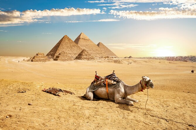 1 Hour Camel Ride At Pyramids of Giza - Meeting Point Details