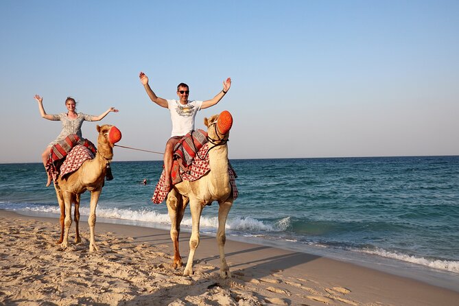 1 Hour Camel Ride Experience in Sealine Beach - Inclusions