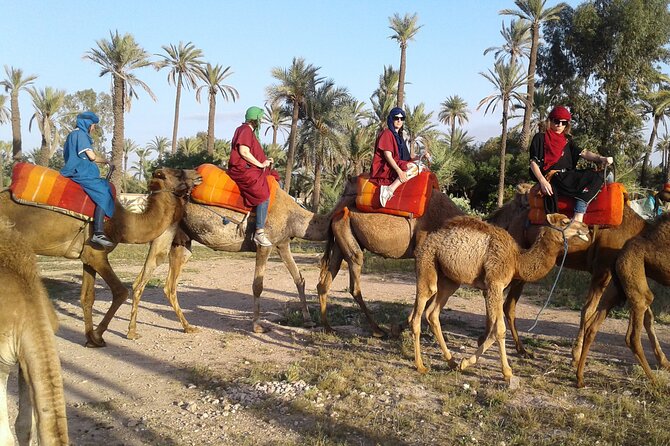 1-Hour Camel Ride in La Palmeraie Marrakech With Hotel Pick up - Inclusions