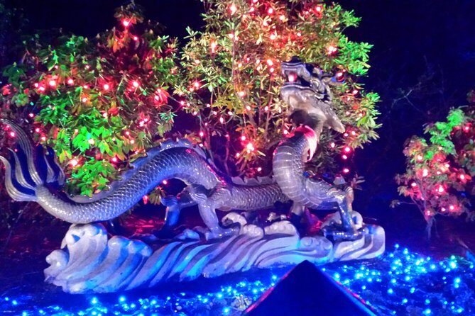 1 hour City Tour & Butchart Gardens: Christmas - Entry included! - The Experience Breakdown: What to Expect