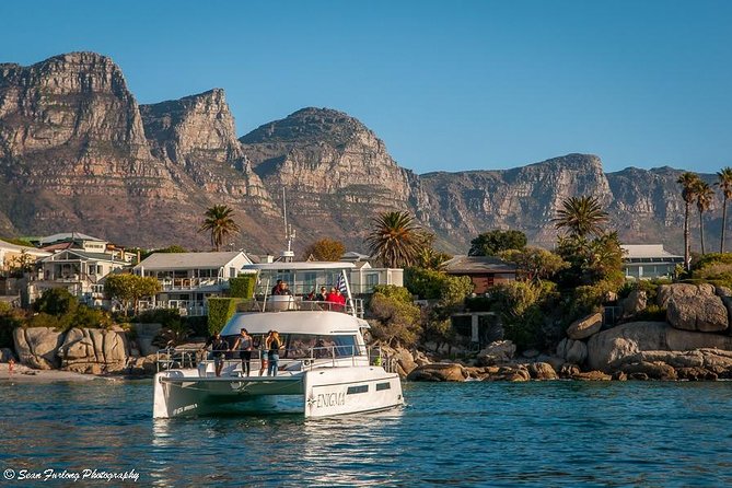 1 Hour Coastal Catamaran Cruise From Cape Town - Safety and Comfort on Board