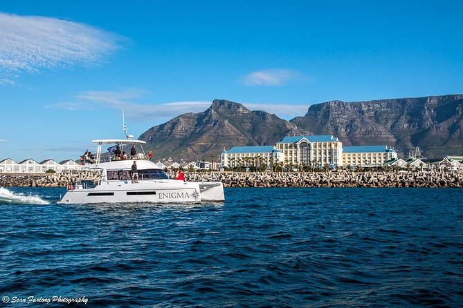 1 Hour Coastal Catamaran Cruise From Cape Town - Booking and Pricing Information