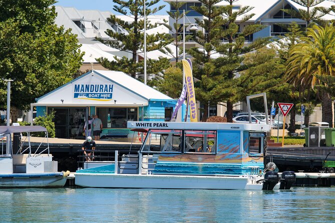 1 Hour Deluxe Scenic Dolphin Cruise - Information About the Meeting Point