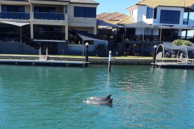 1 Hour Deluxe Scenic Dolphin Cruise - Common Questions