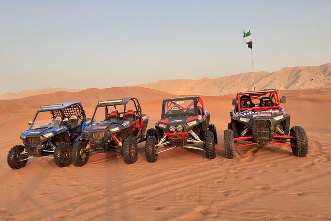 1-Hour Dune Buggy Self Drive With Camel Ride and Sand Boarding in Red Dunes - Important Information for Participants