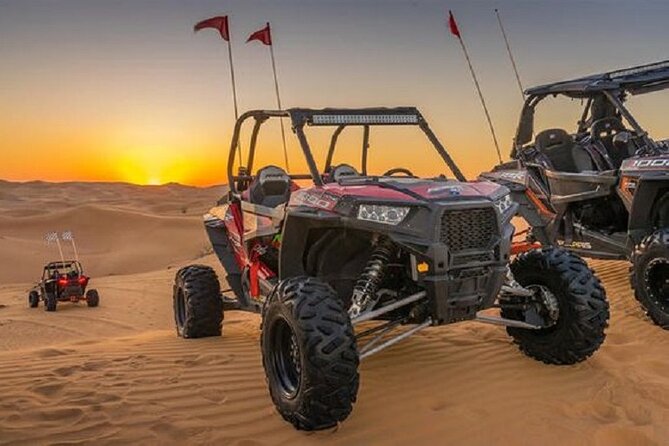 1-Hour Dune Buggy Self Drive With Camel Ride and Sand Boarding in Red Dunes - Customer Reviews and Ratings