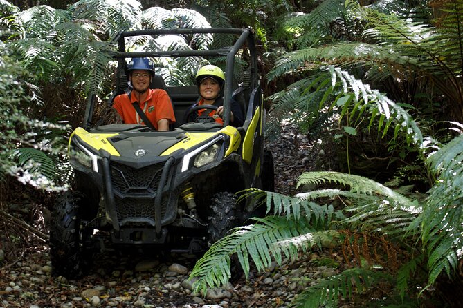 1 Hour Enchanted Forest Track - BUGGIES - Common Questions