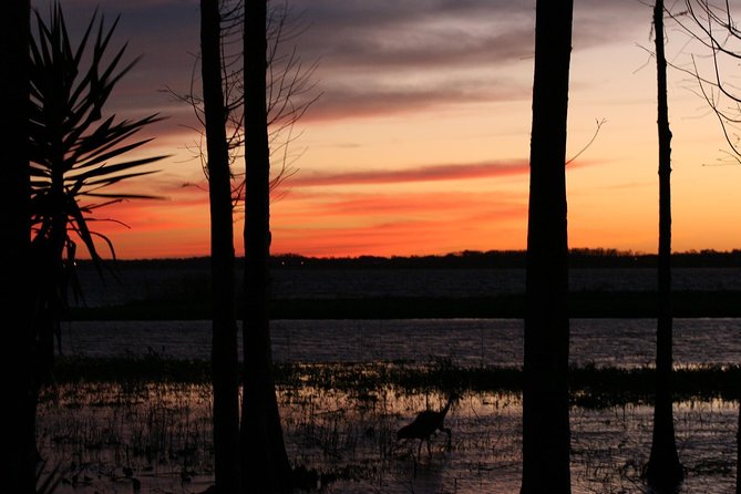 1-Hour Evening Airboat Ride - Tour Guides