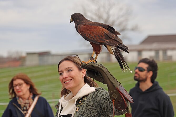 1 Hour Falconry/Hawk Experience in Basel Region - Booking Confirmation and Accessibility