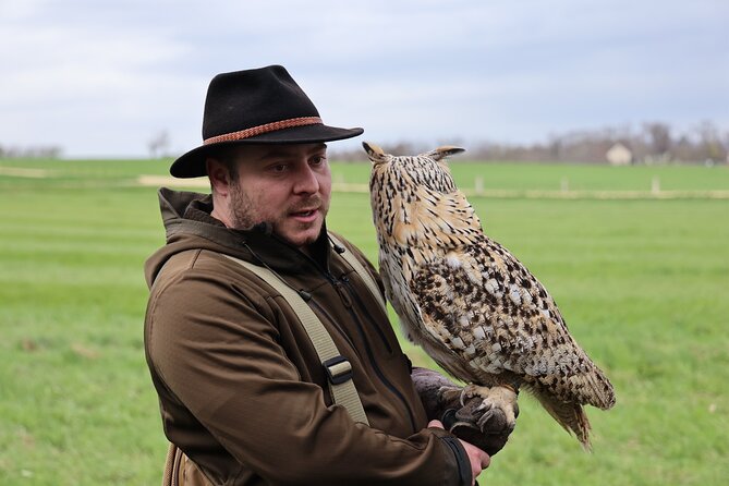1 Hour Falconry/Hawk Experience in Basel Region - Pricing, Terms, and Contact Information