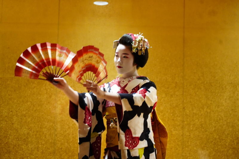 1-Hour Geisha/Maiko Show in Kyoto - What to know before you book