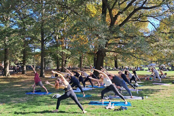 1 Hour Group Yoga Class in Central Park - Good To Know