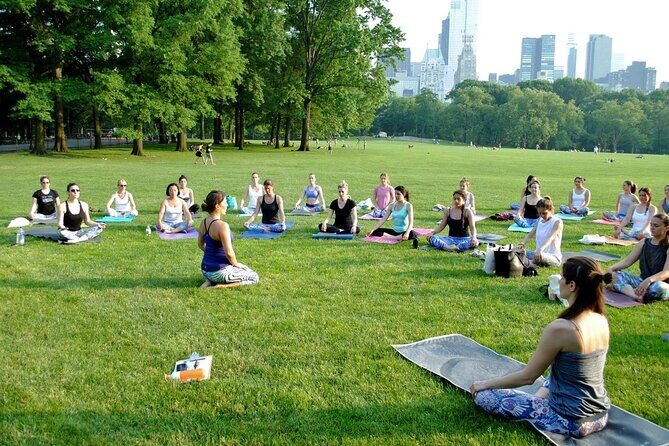 1 Hour Group Yoga Class in Central Park - Practical Details and Logistics