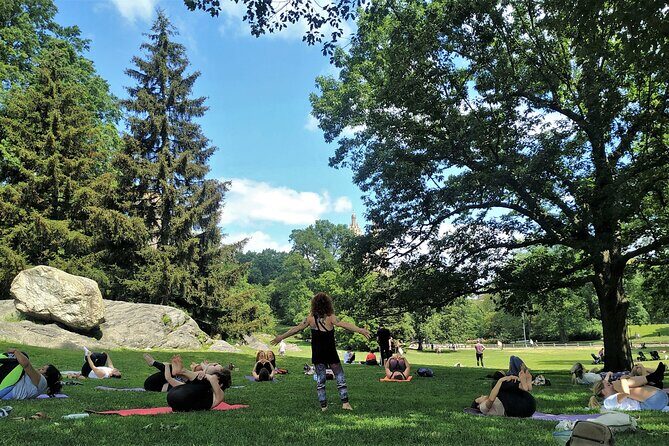 1 Hour Group Yoga Class in Central Park - What Reviewers Say (Based on Available Data)