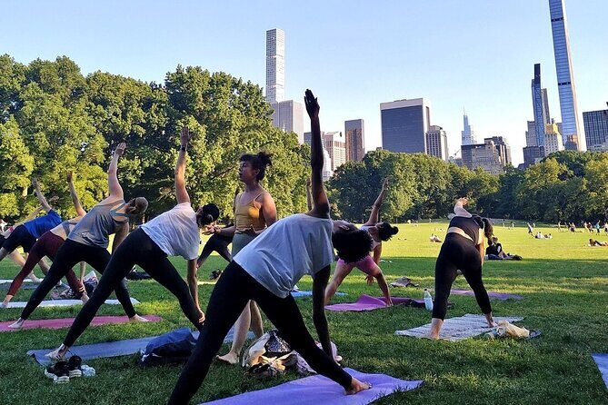 1 Hour Group Yoga Class in Central Park - Why Choose This Experience?