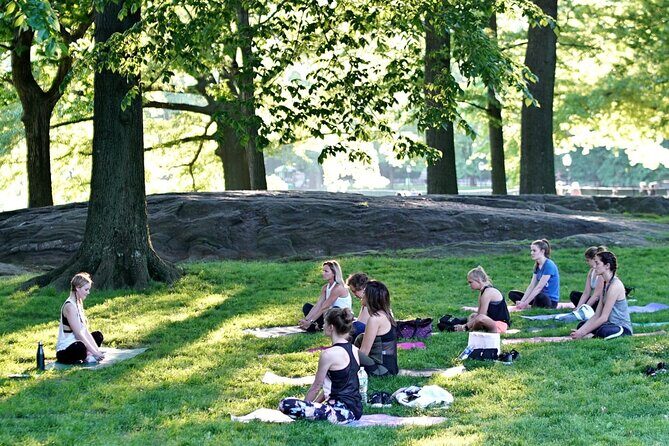 1 Hour Group Yoga Class in Central Park - Who Is This Best For?