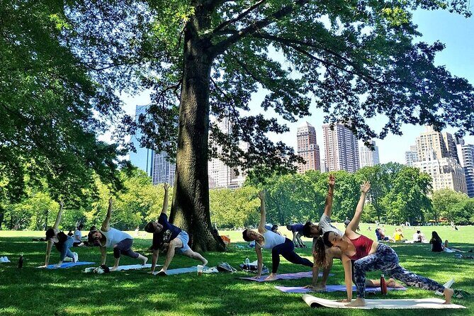 1 Hour Group Yoga Class in Central Park - FAQs