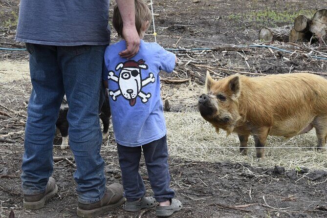 1 Hour Guided Farm Tour in the Adirondacks - An In-Depth Look at the Adirondacks Farm Tour